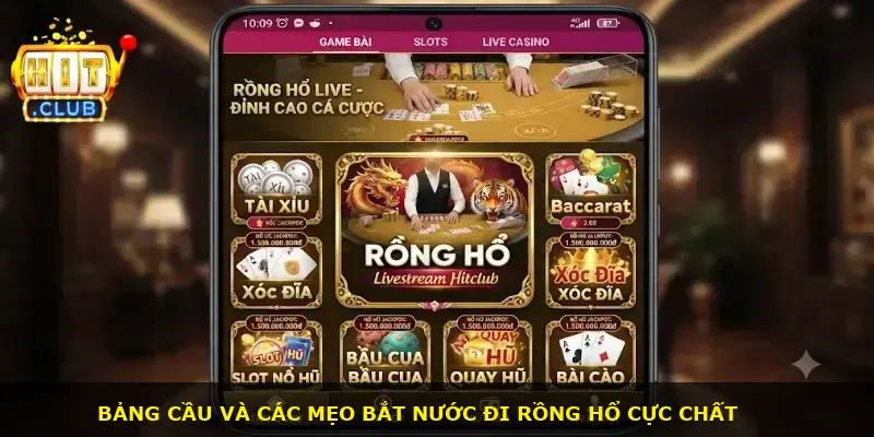 Rồng hổ livestream Hitclub - ảnh 3